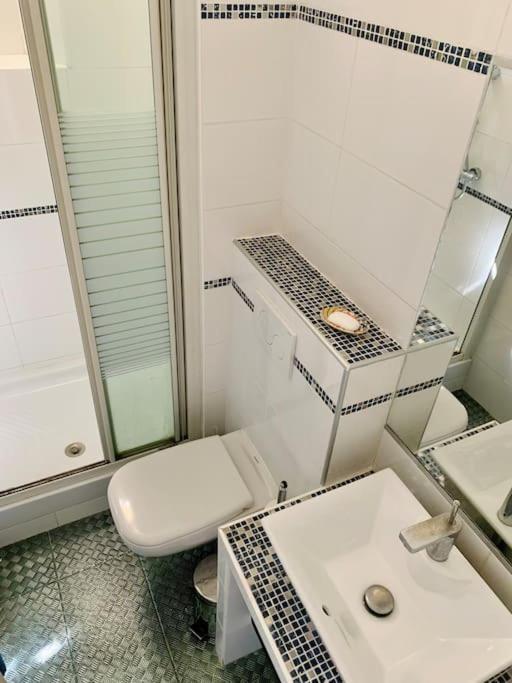 Superbe En Plein Centre De Appartement